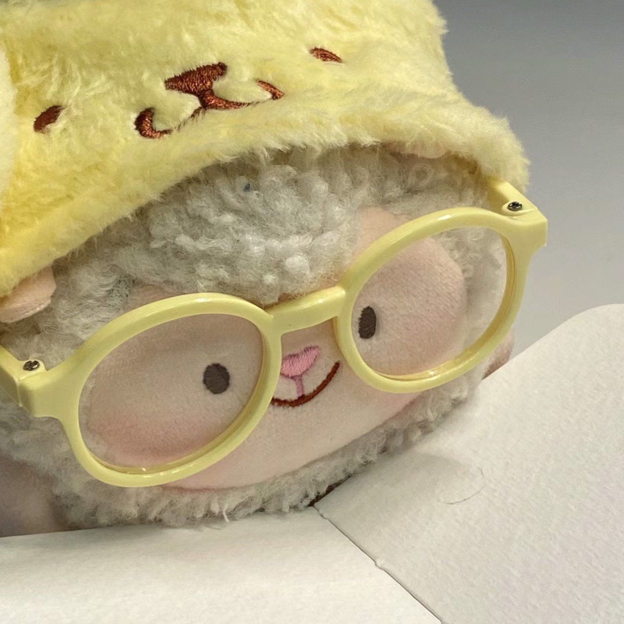 记生活#集拼图记生活#公仔#浪漫生活记录者#生活需要仪式感#毛绒玩具