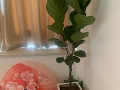 -八号公馆·老上海SPA(深圳北站店)