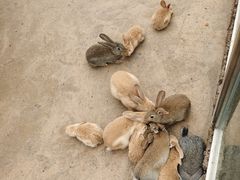 -杭州野生动物世界
