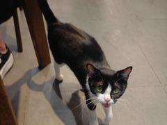 -原田新料理(1912店)