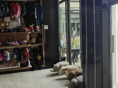 -花环泰拳·勒德斯拉泰拳馆(静安店)