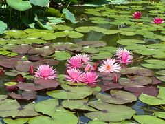 -国家植物园南园