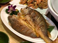 -龙泉人椰子鸡.糟粕醋.海南菜(三亚旗舰店)