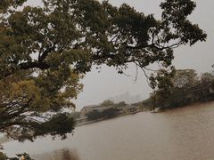-江心屿景区