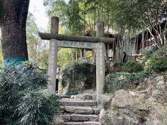 -西泠印社