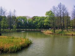 -梁鸿国家湿地公园