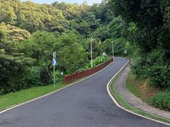-黄埔油麻山森林公园