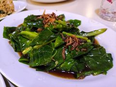 -纽顿熟食中心