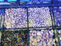 -青蓬蒸汽海鲜·深圳老字号·团建聚会(壹方城店)