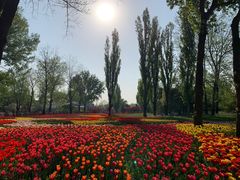 -国家植物园南园