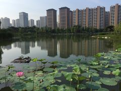 -木塔寺遗址生态公园