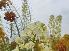 -中国天府农业博览园