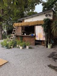 -DORA kids 朵拉儿童摄影花园店