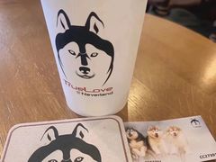 -TrueLove @ Neverland (Husky Cafe)