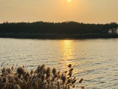 -天津东丽湖风景区