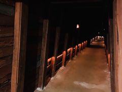 -疏芬山金矿