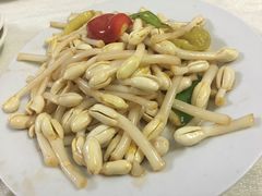 鸡油豆芽-醉贤居