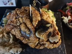 经典原味猪肘-haxnbauer海森堡德国餐厅(深圳coco店)