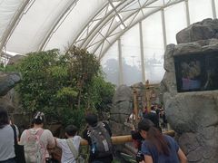 -香港海洋公园