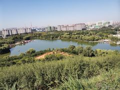 -河北省园博园