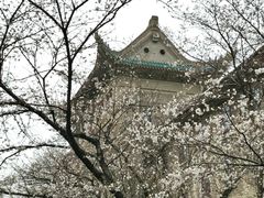 -武汉大学-樱园