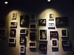 -百好乐宠物友好餐厅(朝外大街店)