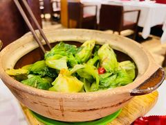 粤式虾膏啫生菜-尚一汤 广东炖汤(金桥国际店)