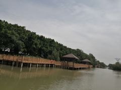 -大湾区中央湿地公园