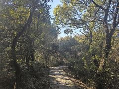 -杭州半山国家森林公园