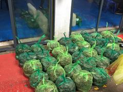 -江杨农产品批发市场