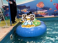 -蒙特利亲子乐园