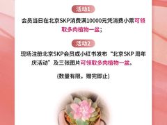 -北京SKP
