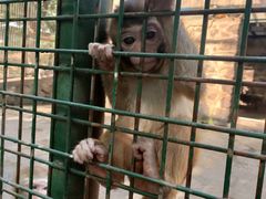 -南京金牛湖风景区