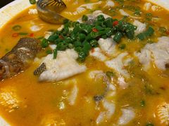 鲜椒豆花鲈鱼-川味堂·四川豆花(八卦岭店)