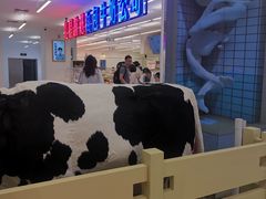 -红星前进面包牛奶公司(君太店)