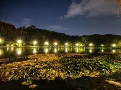 -天鹅湖体育公园