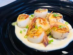 椰菜花泥扇贝Scallops-Hurricane's Grill 飓风牛排