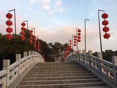 -金山植物公园
