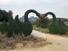 -大塘金香草谷