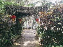 -海南热带野生动植物园