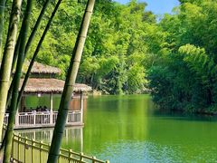 -蜀南竹海景区