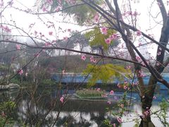 -重庆彩云湖湿地公园