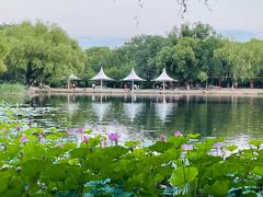 -青城公园