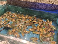 -初色海鲜自助(万丰路店)