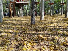 -朝阳公园游乐园