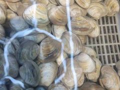 -大众海鲜(巨龙北路店)