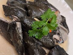 药膳鸡-沙龙酒家