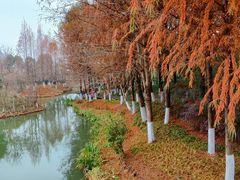 -绍兴镜湖国家城市湿地公园
