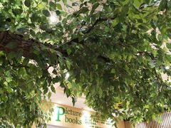 -饭米多蔻中英文绘本馆(苏州美罗店)