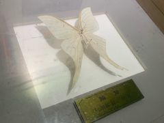 -上海昆虫博物馆